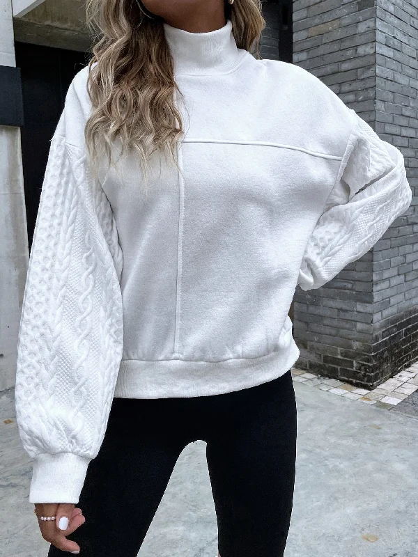 Casual Plain Long Sleeve High Neck Regular Women Sweatshirt