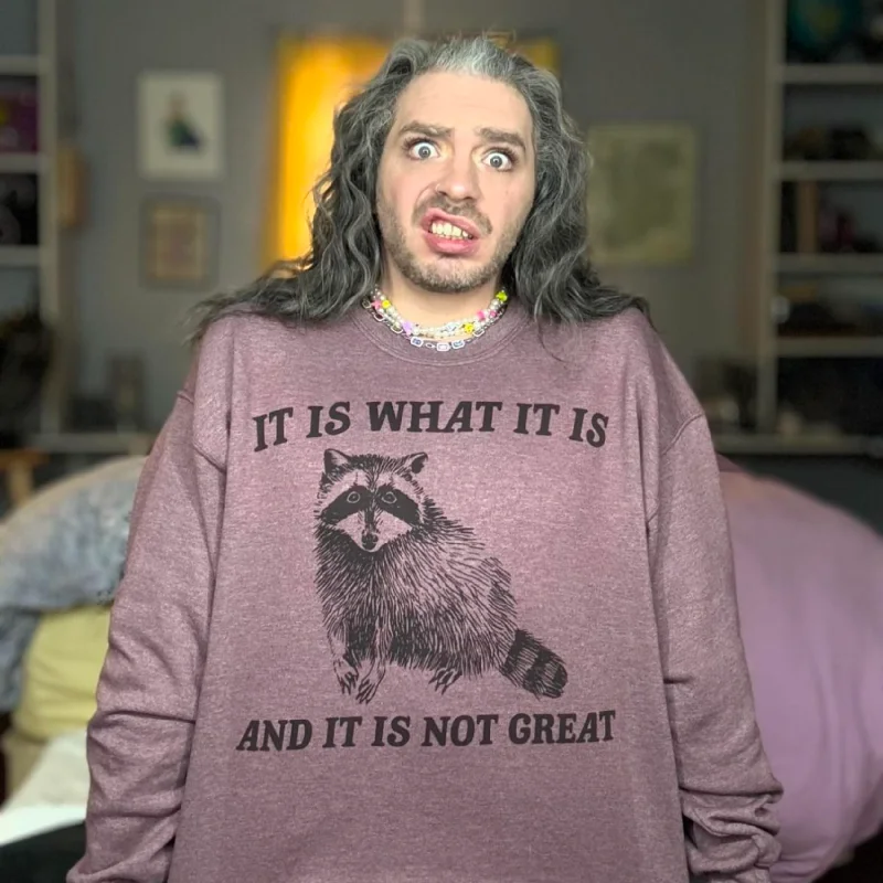 It Is What It Is And It Is Not Great Retro Sweatshirt